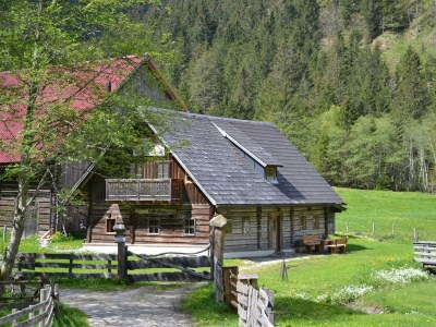 Apartment Holdalm in Schladming-Rohrmoos - Apartment