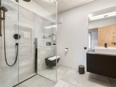 Holiday room Appartement/Fewo, Dusche, WC, Sauna in Brand - Holiday room