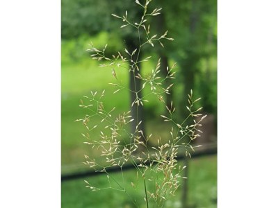 Apartment 2-Bettwohnung - Outdoor photo 22
