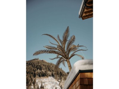 Holiday room Familienzimmer "nest²" (2-4 Pers.) - Outdoor photo 5