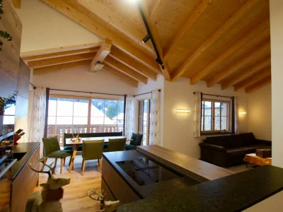 Apartment Dachstein Chalet Haus B - Features photo 61