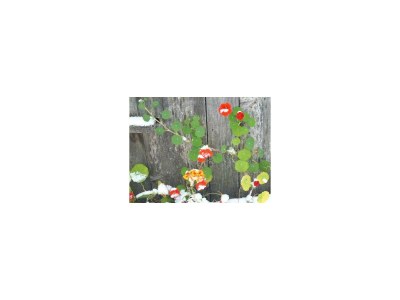 Apartment Apartment/1 Schlafraum/Dusche, WC - Outdoor photo 27