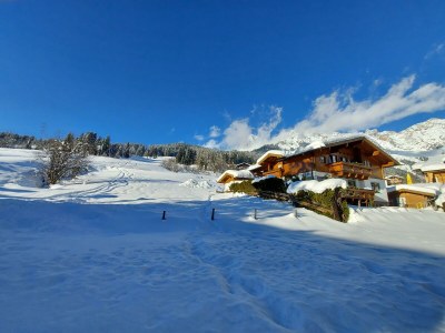 Apartment HEIMATLIEBE Appartement in Maria Alm, Hinterthal - Apartment