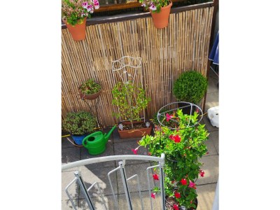 Apartment Appartement/Fewo, Dusche und Bad, WC, Deluxe - Outdoor photo 12