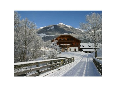Apartment Kärntner Chalet "Landhaus" - Outdoor photo 38
