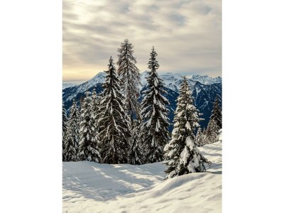 Holiday room Einzelzimmer - Outdoor photo 45