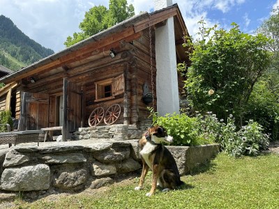 Apartment Romantikhütte - Features photo 23