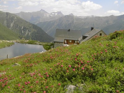 Apartment Appartement/Fewo, Dusche, WC, 1 Schlafraum - Outdoor photo 19