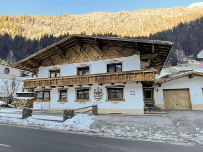 Apartment AP Glittstein (1-3 Pers.) /1 Schlafraum/DU, WC in See, Paznaun - Apartment