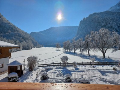 Apartment Ferienwohnung Lärchegg - Outdoor photo 17