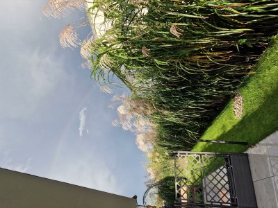 Holiday room Pass Thurn - Outdoor photo 21