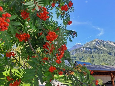 Apartment Appartement Südblick - Outdoor photo 37