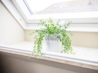 Holiday apartment Küsten Suite Deichelfe | Grünblick - Features photo 17