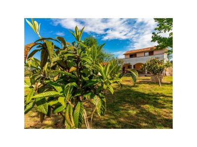 Holiday house DUMENDZIC - Outdoor photo 6