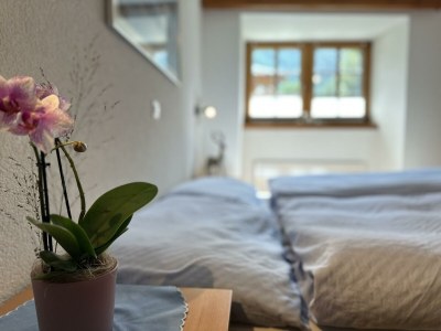 Apartment Appartement/Fewo - Outdoor photo 12