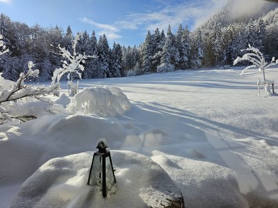 Chalet log house - Outdoor photo 9