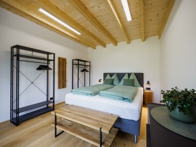 Apartment Ferienhaus in Feldbach - Apartment