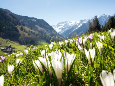 Holiday room Kleines Doppelzimmer Mini - Outdoor photo 15