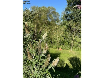 Apartment Appartement/Fewo, Dusche, WC - Outdoor photo 18