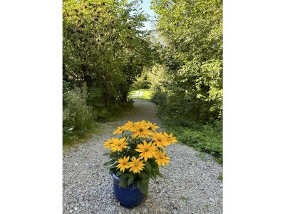 Apartment Appartement/Fewo, Dusche, WC - Outdoor photo 28