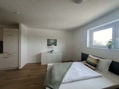 Apartment Studio, Dusche, WC in St. Martin im Mühlkreis - Apartment