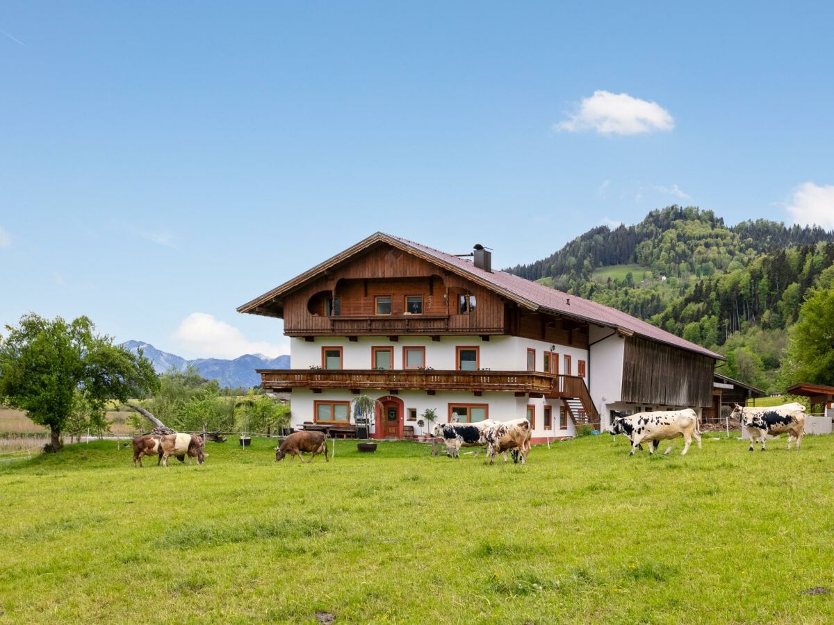 Apartment Schwemmblick - Outdoor photo 4