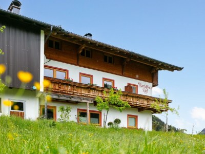Apartment Schwemmblick - Features photo 33