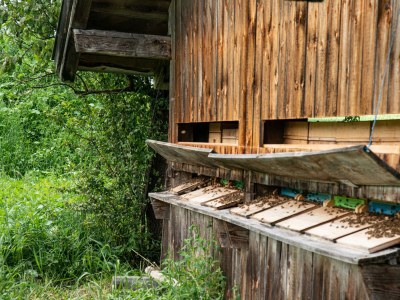 Apartment Appartement "Lackenkogel" - Outdoor photo 21