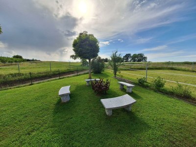 Apartment Ferienwohnung - Outdoor photo 51