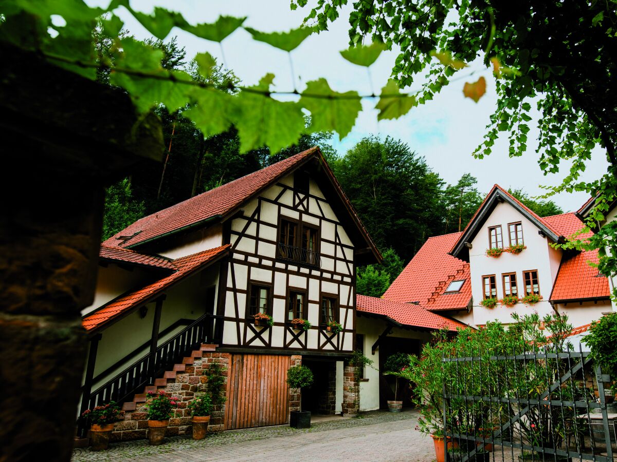 Apartment Wohnung 1 - Wochenpauschale