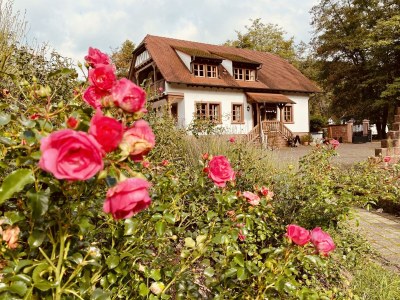 Apartment Fewo mit Balkon Nr.1 - Outdoor photo 2
