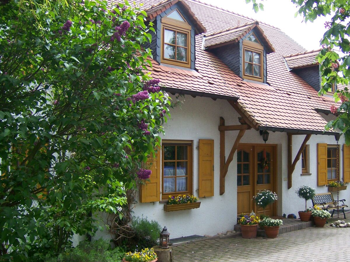 Apartment Appartement/Fewo, Dusche, WC, 1 Schlafraum