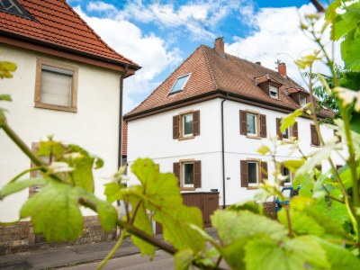 Apartment Ferienhaus Weinstraße 304 in Neustadt-Hambach - Apartment