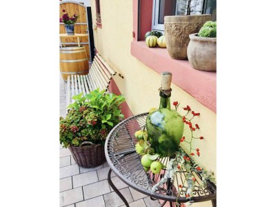 Apartment Ferienwohnung Altes Gehöft - Outdoor photo 20