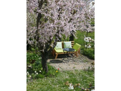 Apartment Terrassenwohnung - Outdoor photo 21