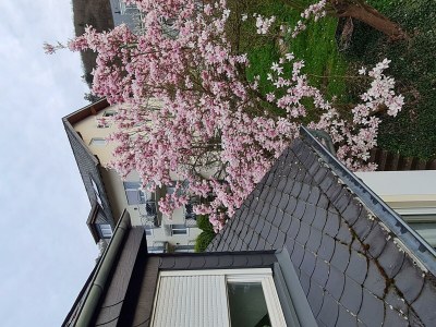 Apartment Apartment mit Terrasse - Outdoor photo 16