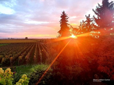 Apartment FeWo Herzlich inmitten der Weinreben - Outdoor photo 3