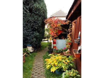 Apartment Appartement/Fewo, Bad, WC, 1 Schlafraum - Outdoor photo 54
