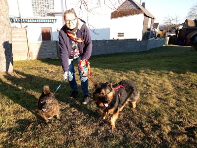 Apartment Appartement/Fewo, Bad, WC, 1 Schlafraum - Outdoor photo 66