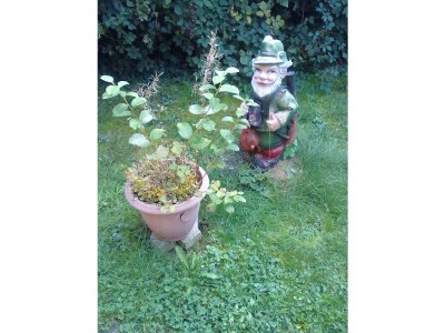 Apartment Appartement/Fewo, Bad, WC, 1 Schlafraum - Outdoor photo 70