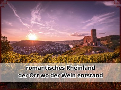 Apartment Appartement/Fewo, Dusche, WC, 1 Schlafraum - Outdoor photo 12