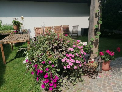 Apartment App./Fewo, 2 Schlafräume (2-6 Pers.), Bad, WC, - Outdoor photo 9