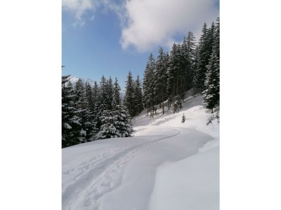 Apartment Ferienhaus/4 od. mehr Schlafr./Du od Bad - Outdoor photo 8