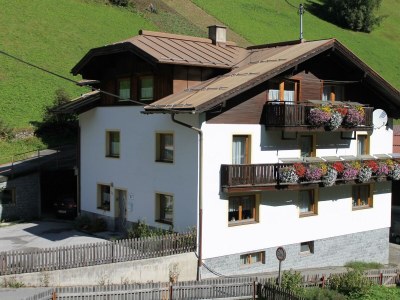 Apartment Wohnung 4-8 Pax /3 ZI./Du/ Bad/WC in Kappl - Apartment