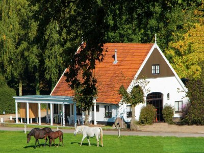Holiday park Chalet in Ootmarsum auf dem Kuiperberg - Features photo 14