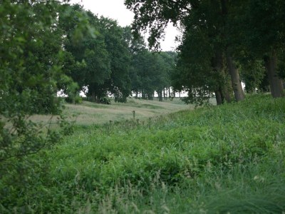 Holiday park Chalet in Ootmarsum auf dem Kuiperberg - Environment photo 18