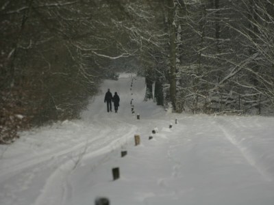 Holiday park Chalet in Ootmarsum auf dem Kuiperberg - Environment photo 19