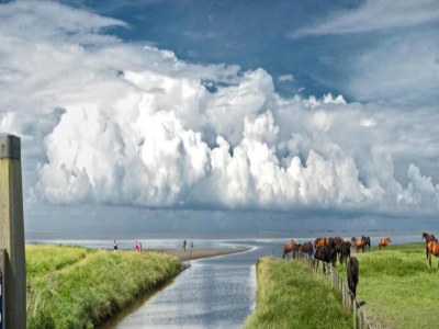 Holiday house Chalet in Friesland near Wadden Sea - Environment photo 30