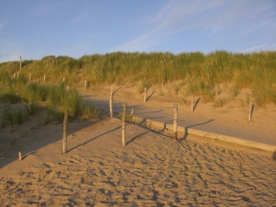 Bungalow mit WLAN im de Zandloper - Environment photo 17