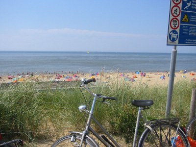 Bungalow mit WLAN im de Zandloper - Environment photo 18